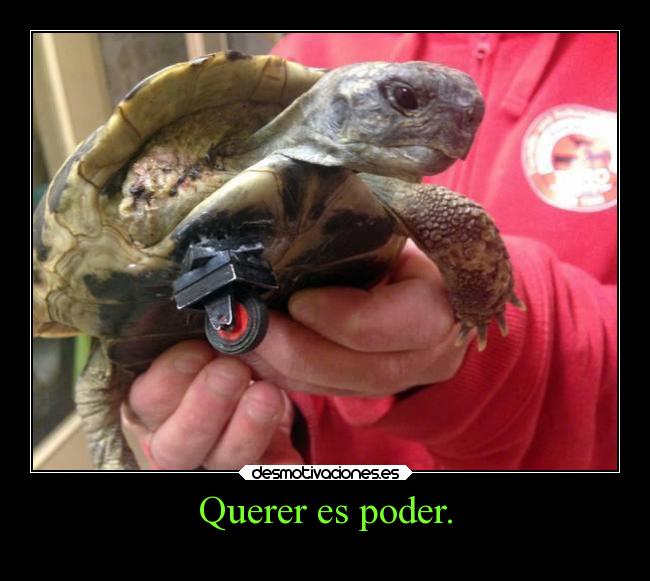 Querer es poder. - 