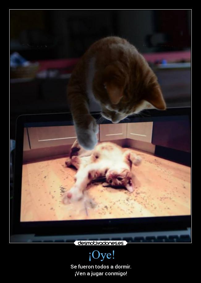 ¡Oye! - Se fueron todos a dormir.
¡Ven a jugar conmigo!