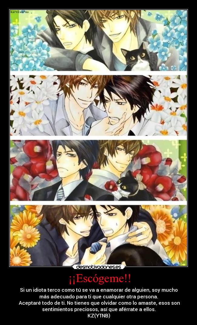 ¡¡Escógeme!! - Si un idiota terco como tú se va a enamorar de alguien, soy mucho
más adecuado para ti que cualquier otra persona.
 Aceptaré todo de ti. No tienes que olvidar como lo amaste, esos son
sentimientos preciosos, así que aférrate a ellos.
KZ(YTNB)
