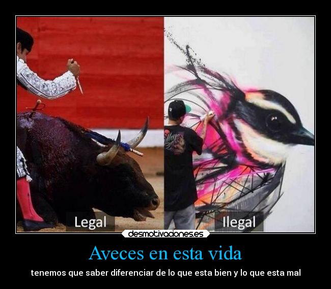 Aveces en esta vida - tenemos que saber diferenciar de lo que esta bien y lo que esta mal