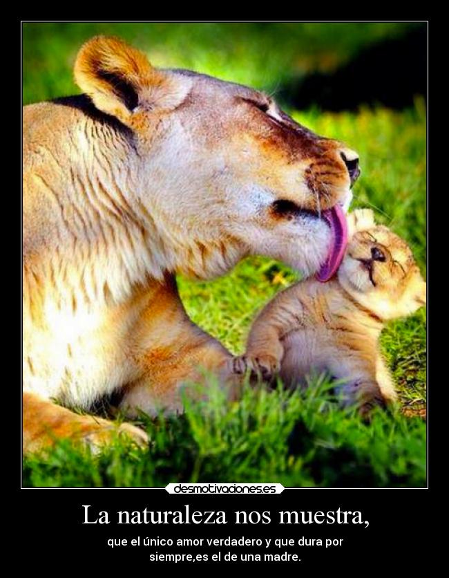 La naturaleza nos muestra, - que el único amor verdadero y que dura por
siempre,es el de una madre.
