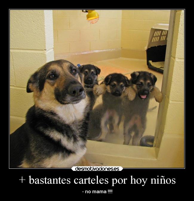 carteles bogota desmotivaciones