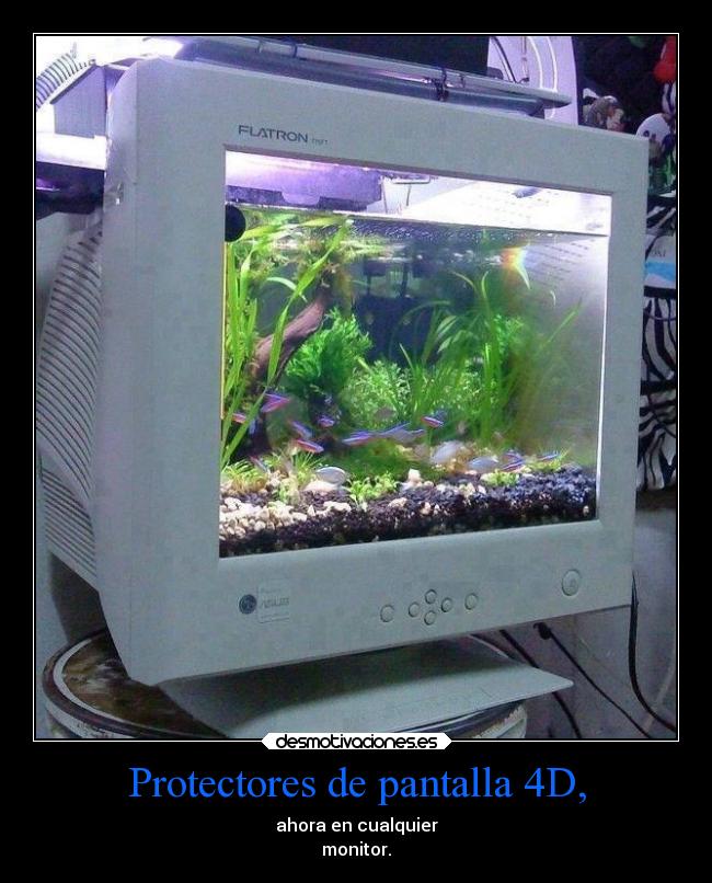 Protectores de pantalla 4D, - ahora en cualquier
monitor.