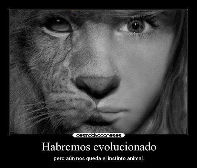 carteles animales instinto evolucion lolsomething desmotivaciones