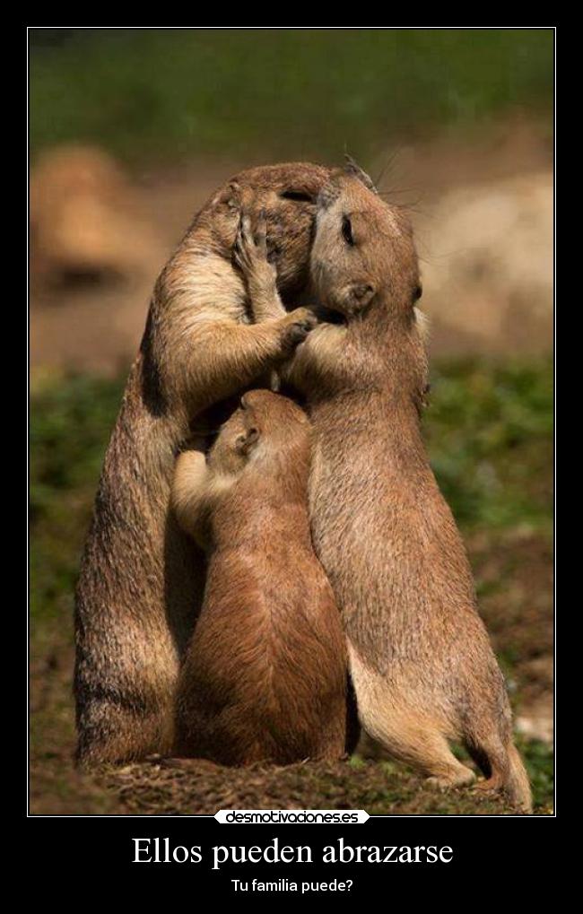 Ellos pueden abrazarse - Tu familia puede?