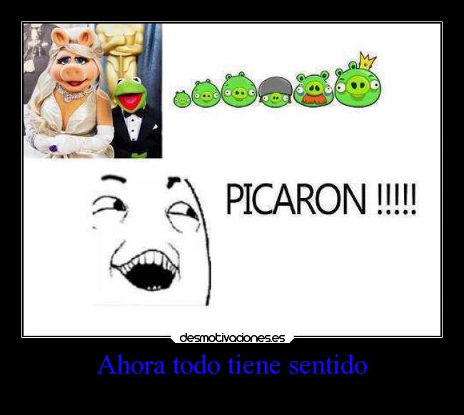 Ahora todo tiene sentido - 