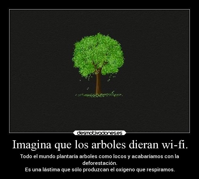 Imagina que los arboles dieran wi-fi. - Todo el mundo plantaría arboles como locos y acabaríamos con la
deforestación.
Es una lástima que sólo produzcan el oxígeno que respiramos.
