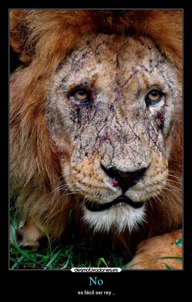 No - es fácil ser rey ..