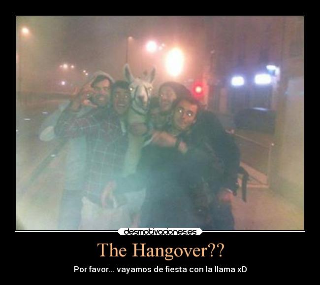 The Hangover?? - Por favor... vayamos de fiesta con la llama xD