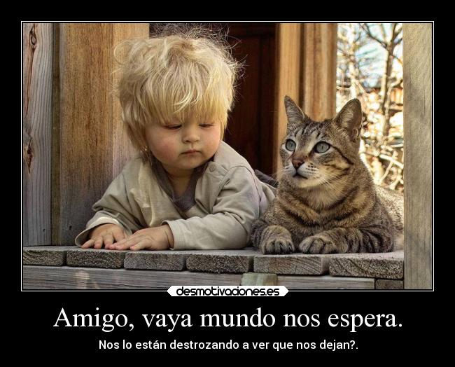 Amigo, vaya mundo nos espera. -