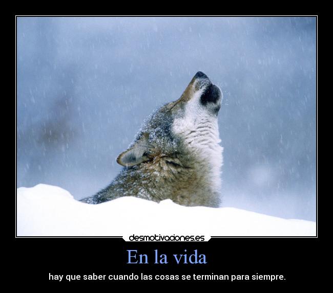 En la vida - hay que saber cuando las cosas se terminan para siempre.