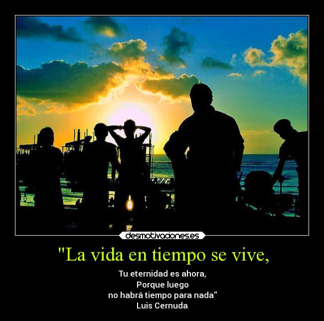 carteles vida vida desmotivaciones