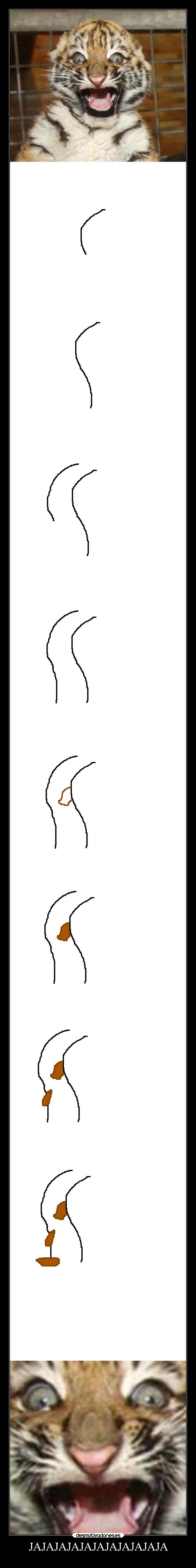 JAJAJAJAJAJAJAJAJAJAJA - 