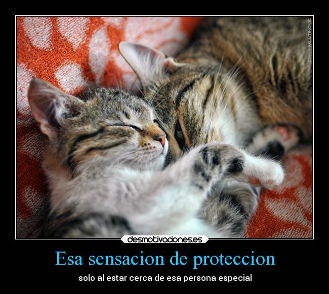 Esa sensacion de proteccion -