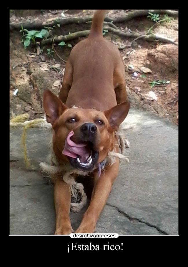 ¡Estaba rico! - 