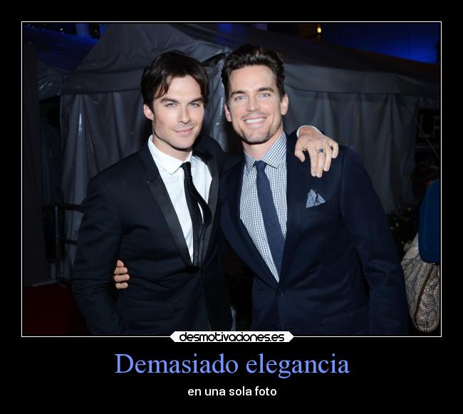 Demasiado elegancia - en una sola foto