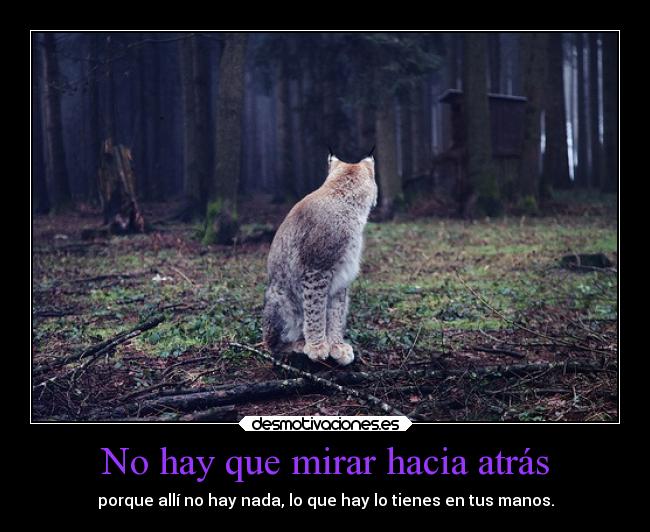 No hay que mirar hacia atrás - 