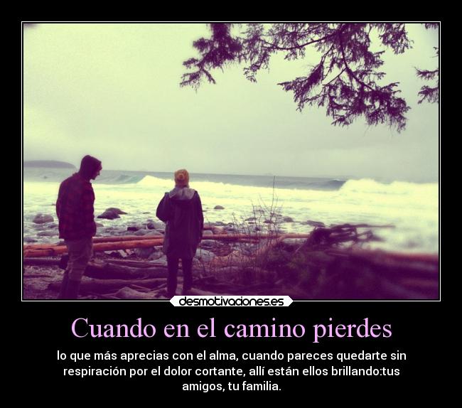 Cuando en el camino pierdes - lo que más aprecias con el alma, cuando pareces quedarte sin
respiración por el dolor cortante, allí están ellos brillando:tus
amigos, tu familia.