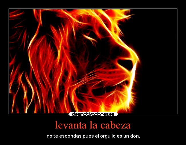 levanta la cabeza - no te escondas pues el orgullo es un don.