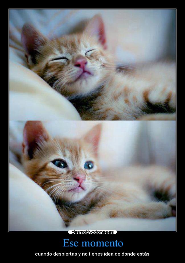 Ese momento - cuando despiertas y no tienes idea de donde estás.