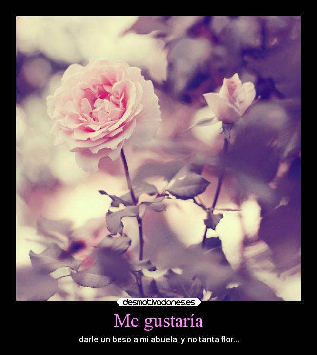 Me gustaría - darle un beso a mi abuela, y no tanta flor...