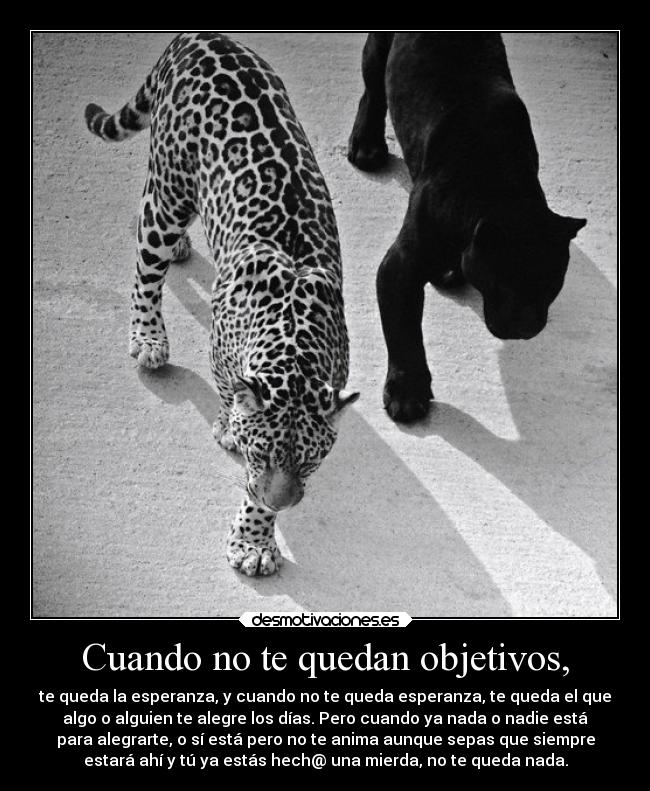 Cuando no te quedan objetivos, -