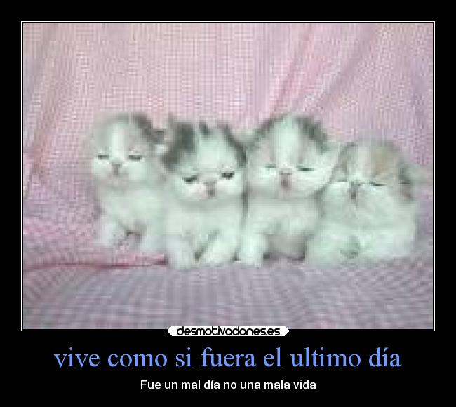 vive como si fuera el ultimo día - Fue un mal día no una mala vida