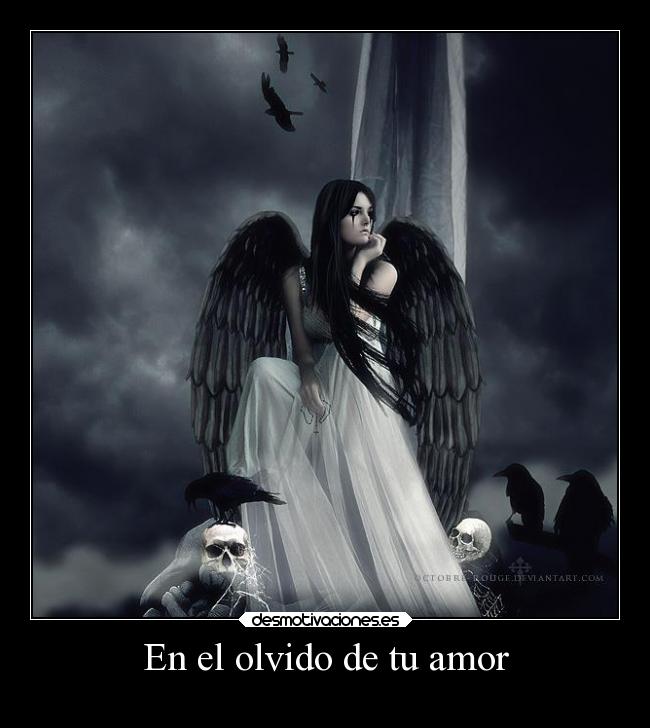 En el olvido de tu amor -