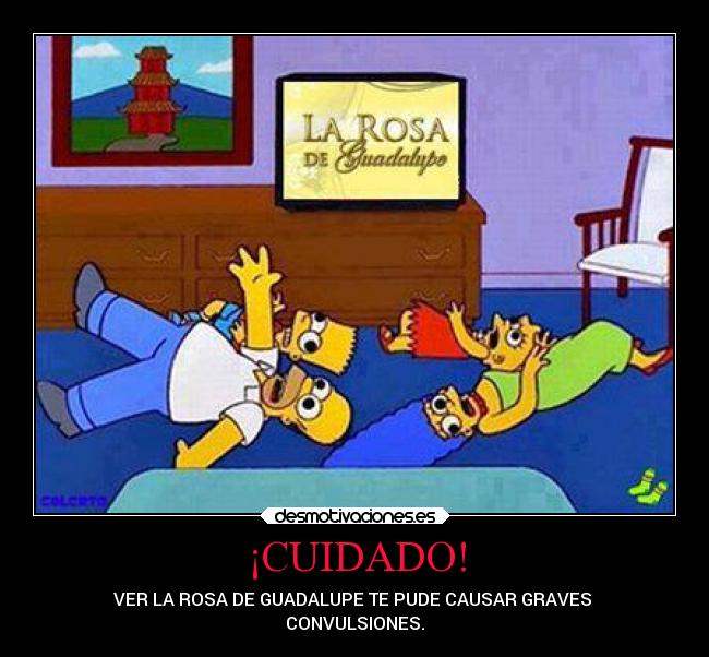 ¡CUIDADO! - VER LA ROSA DE GUADALUPE TE PUDE CAUSAR GRAVES
CONVULSIONES.