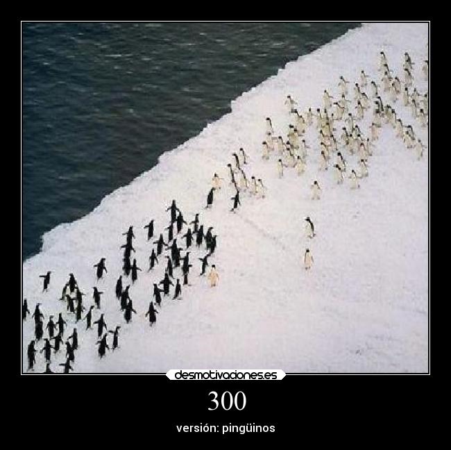 300 - versión: pingüinos