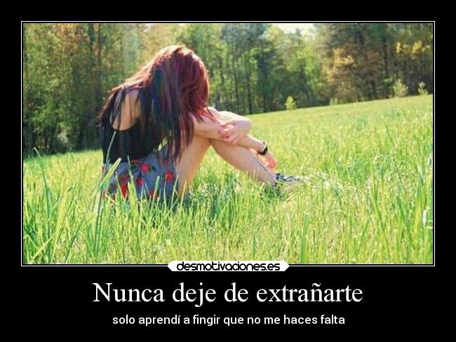 Nunca deje de extrañarte - 