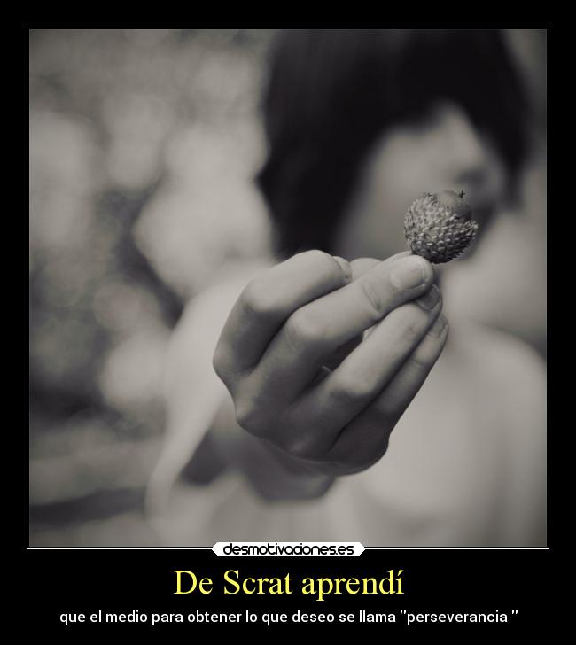 De Scrat aprendí - que el medio para obtener lo que deseo se llama perseverancia