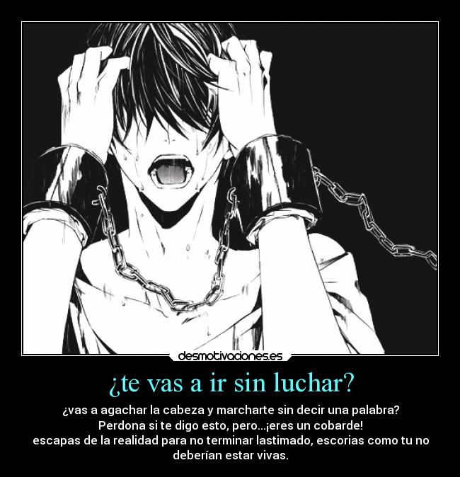 ¿te vas a ir sin luchar? - ¿vas a agachar la cabeza y marcharte sin decir una palabra?
Perdona si te digo esto, pero...¡eres un cobarde!
escapas de la realidad para no terminar lastimado, escorias como tu no
deberían estar vivas.