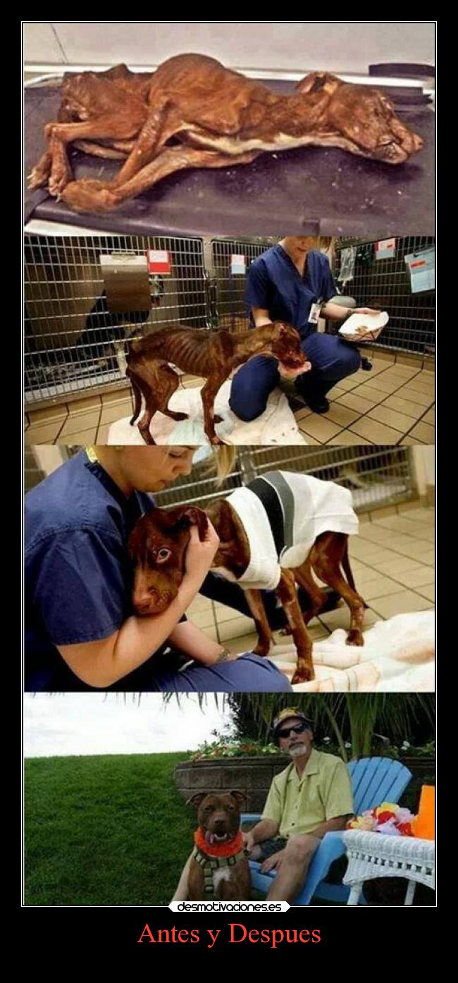 Antes y Despues -