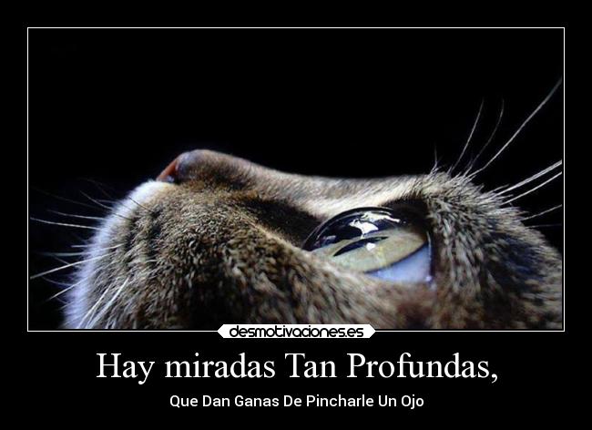 Hay miradas Tan Profundas, - Que Dan Ganas De Pincharle Un Ojo