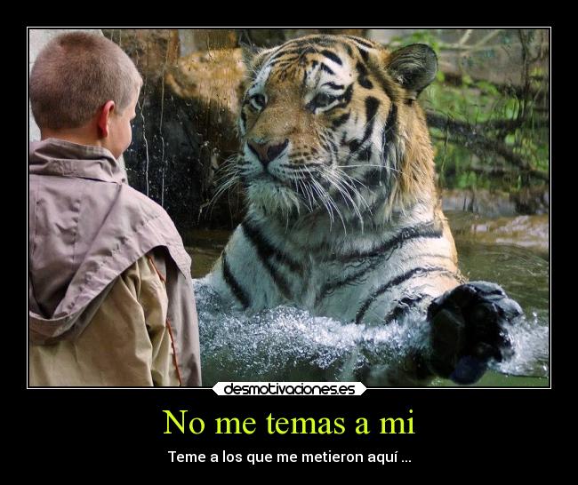 No me temas a mi - Teme a los que me metieron aquí ...