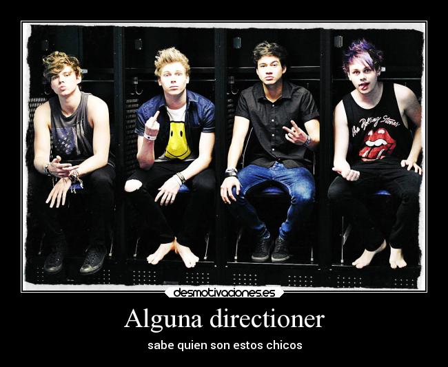 Alguna directioner - sabe quien son estos chicos