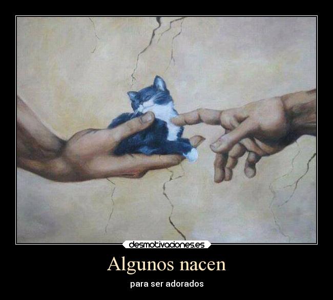 Algunos nacen - 