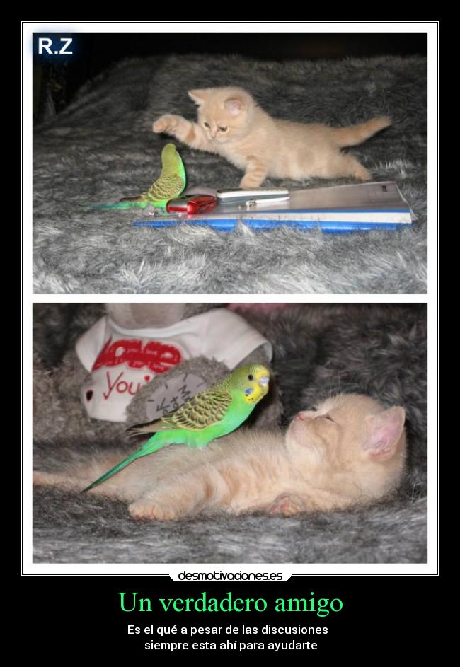 Un verdadero amigo - Es el qué a pesar de las discusiones  
siempre esta ahí para ayudarte