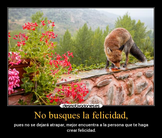 carteles felicidad telyg ejercitodemar unzorritoenbuscadelafelicidad aisht desmotivaciones