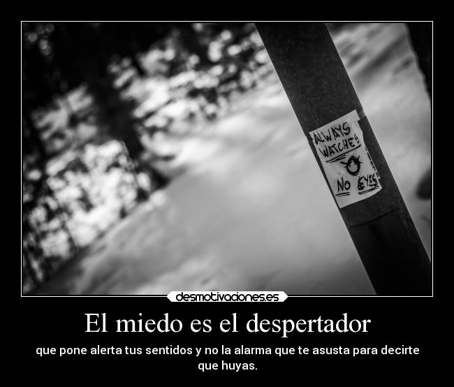 El miedo es el despertador -