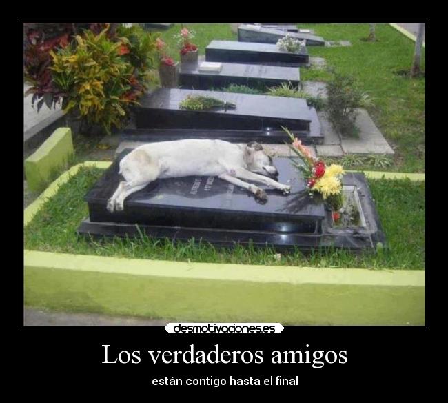 Los verdaderos amigos -