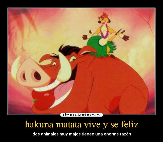 hakuna matata vive y se feliz - dos animales muy majos tienen una enorme razón