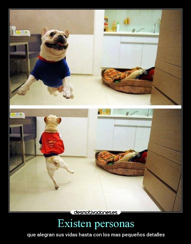 carteles alegria amigos amistad confianza desmotivaciones