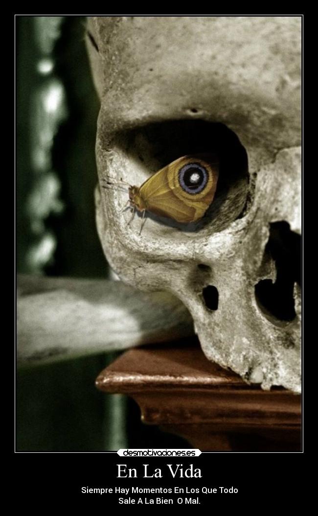 En La Vida - Siempre Hay Momentos En Los Que Todo
Sale A La Bien O Mal.