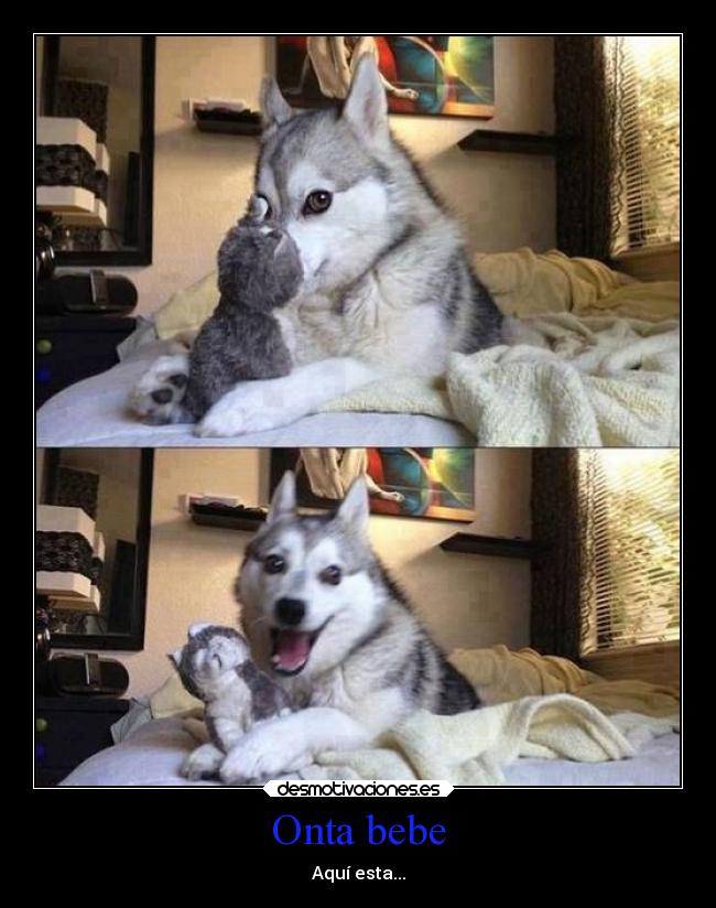 Onta bebe - Aquí esta...