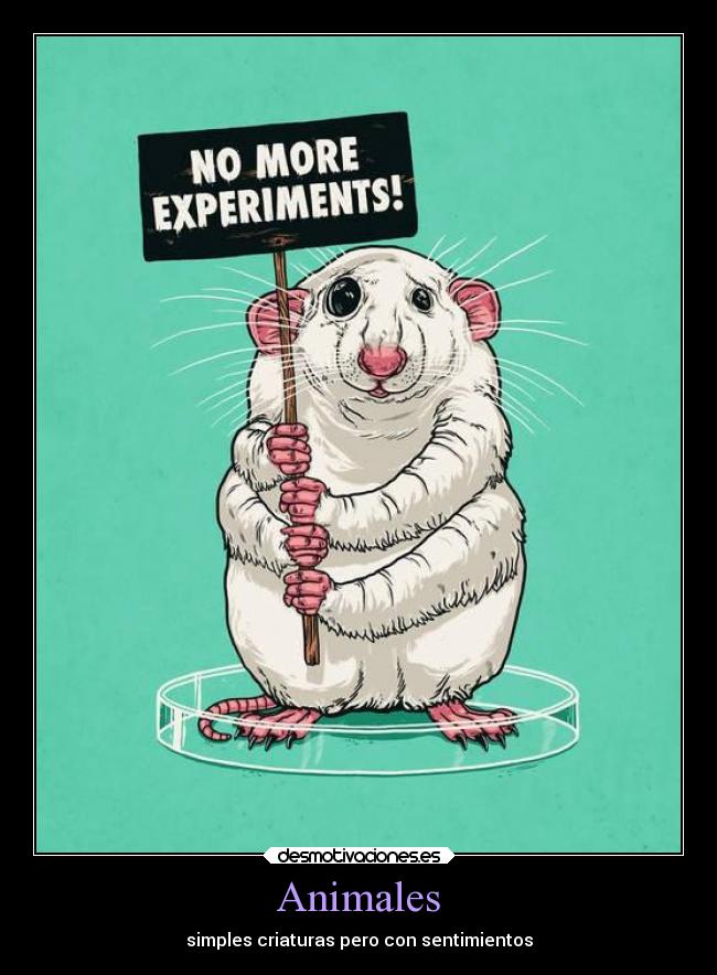 Animales - simples criaturas pero con sentimientos