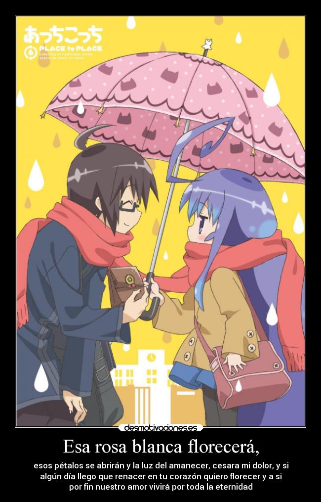 Esa rosa blanca florecerá, - 