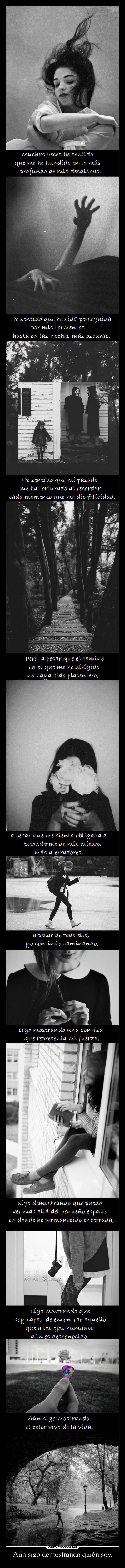 Aún sigo demostrando quién soy. -