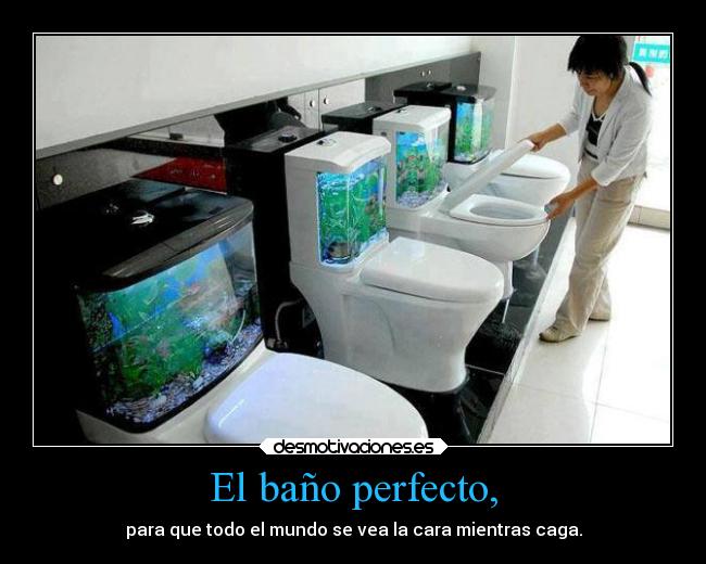 El baño perfecto, - 